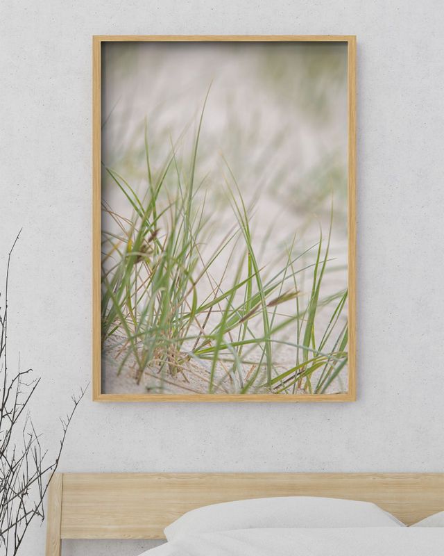 Beach Grass - Framed Print