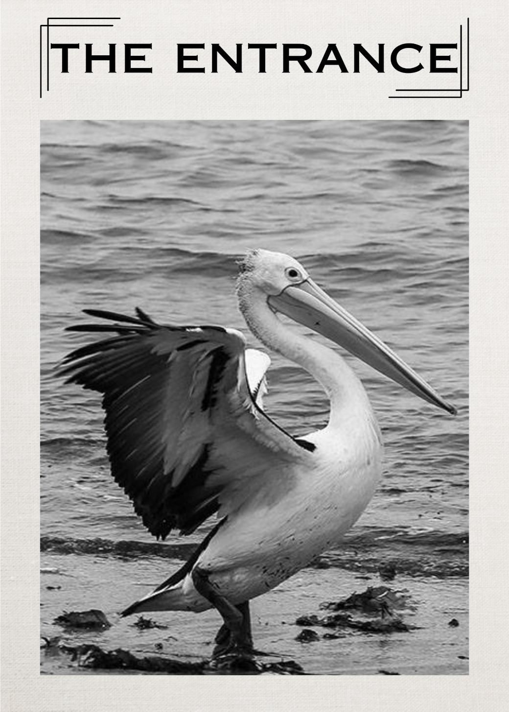 Pelican 2 Tea Towel