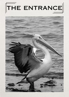 Pelican 2 Tea Towel