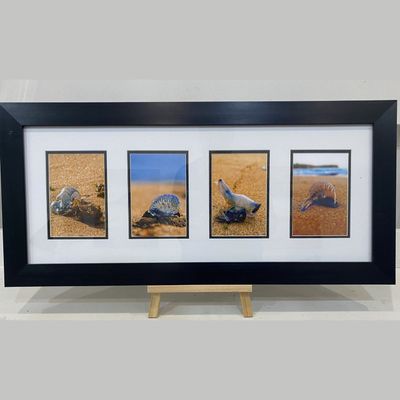 Washed Up On Shore Photo Series