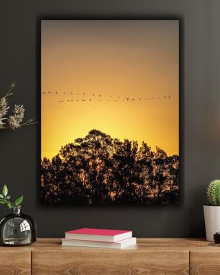 Sunset Flyby