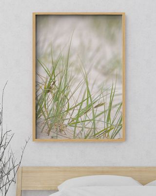 Beach Grass - Framed Print Beach Grass - Framed Print