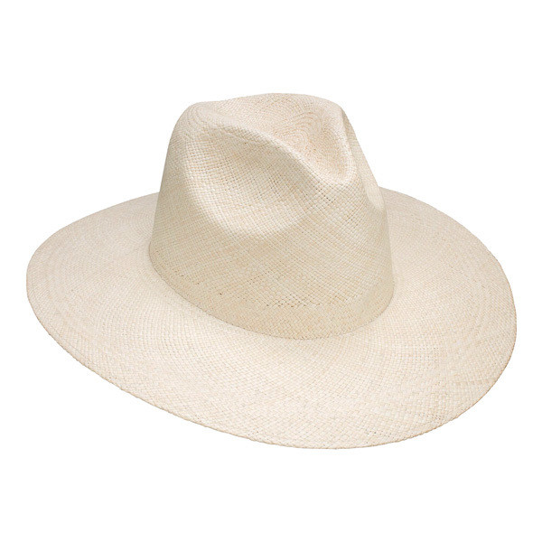 Stetson Naturalist