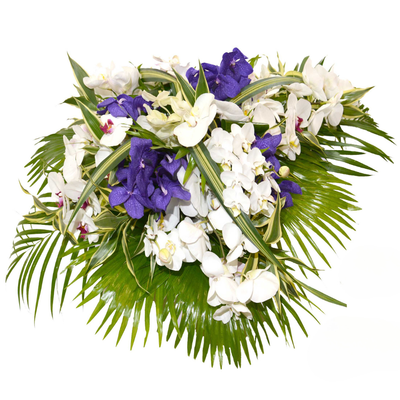 Corbeille d'orchidées