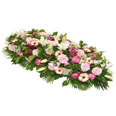 Raquette classique Raquette classique