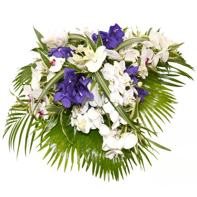 Corbeille d'orchidées Corbeille d'orchidées