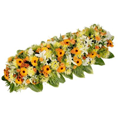 Raquette classique Raquette classique