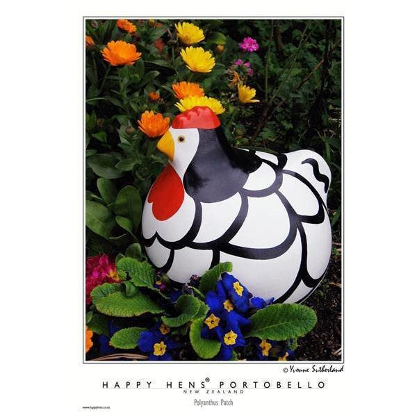 Happy Hen Poster Polyanthus Patch Happy Hen Poster Polyanthus Patch