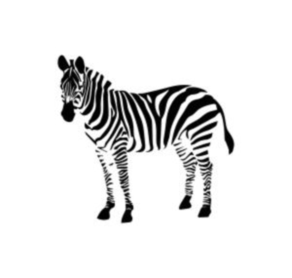 Stripey Zebra