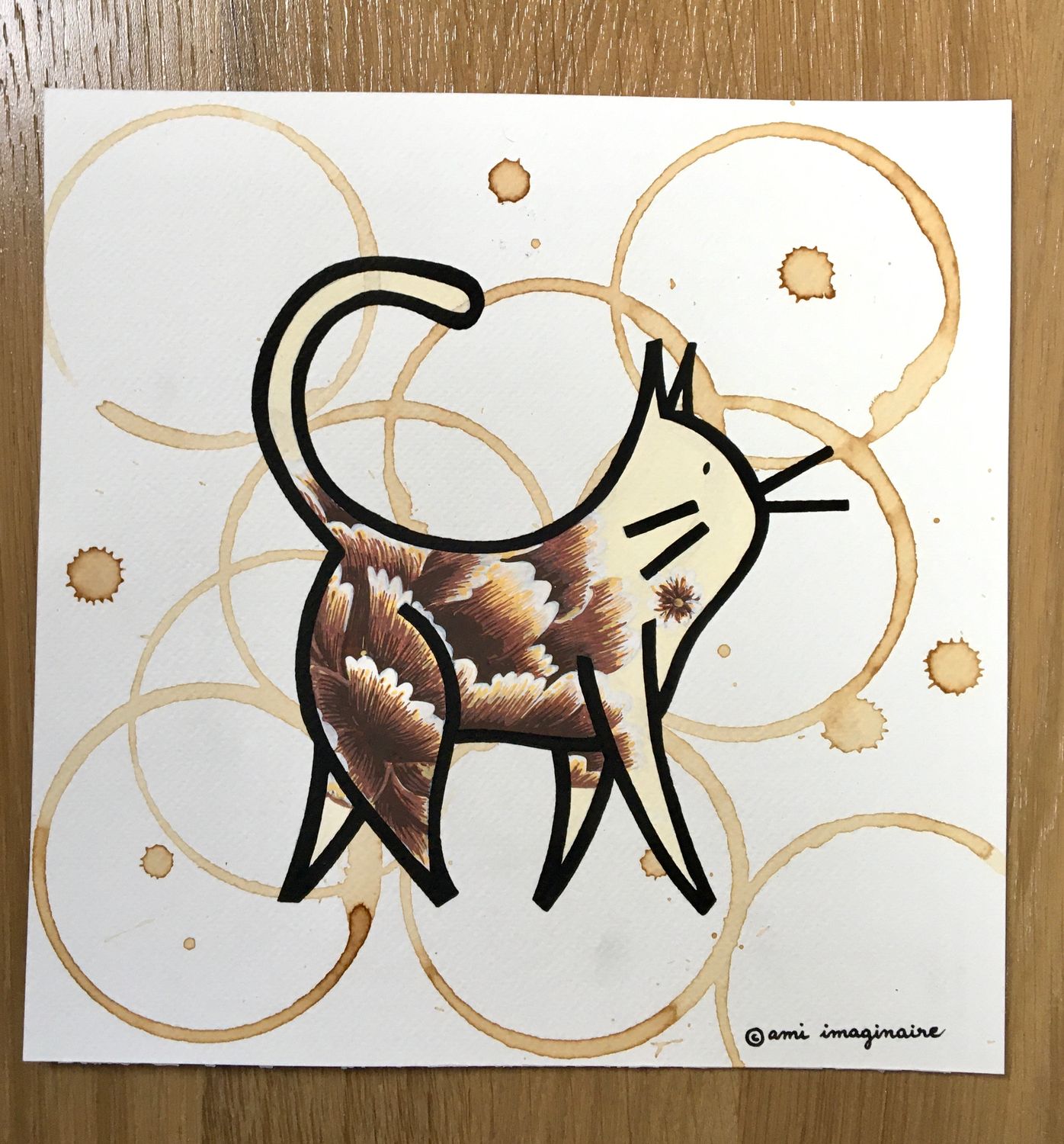CHAT NOISETTE