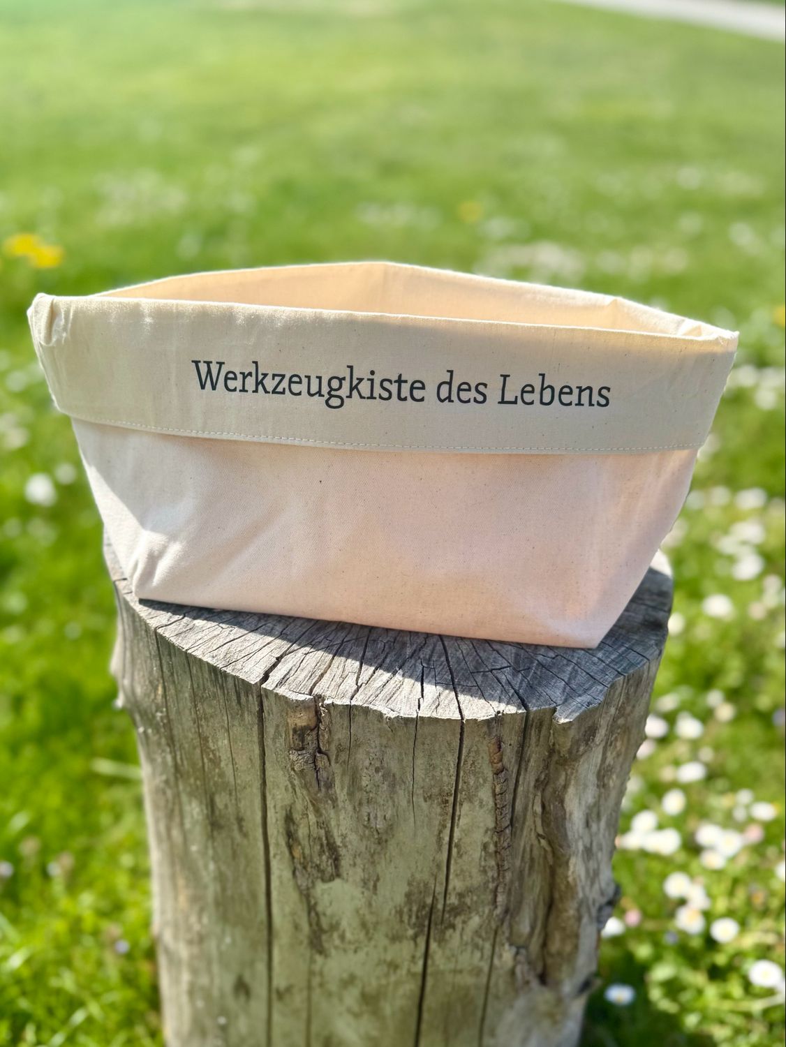 Organiser Korb - Werkzeugkiste