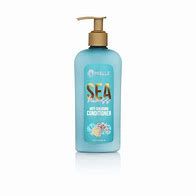 MIELLE SEA MOSS ANTI-SHED COND.