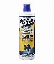 MANE N TAIL GENTLE CLARIFYING SHAMOO