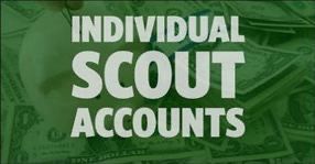 Scout Account - Funds Use Request