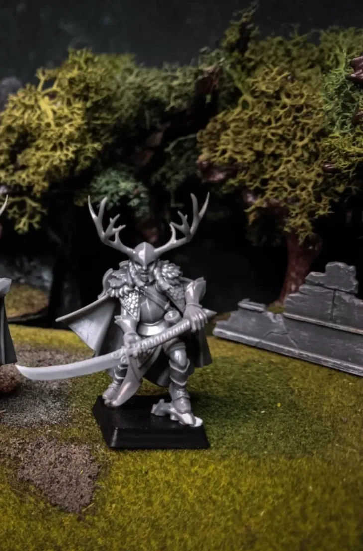 Feral Elves - Elf Highborn with Sword