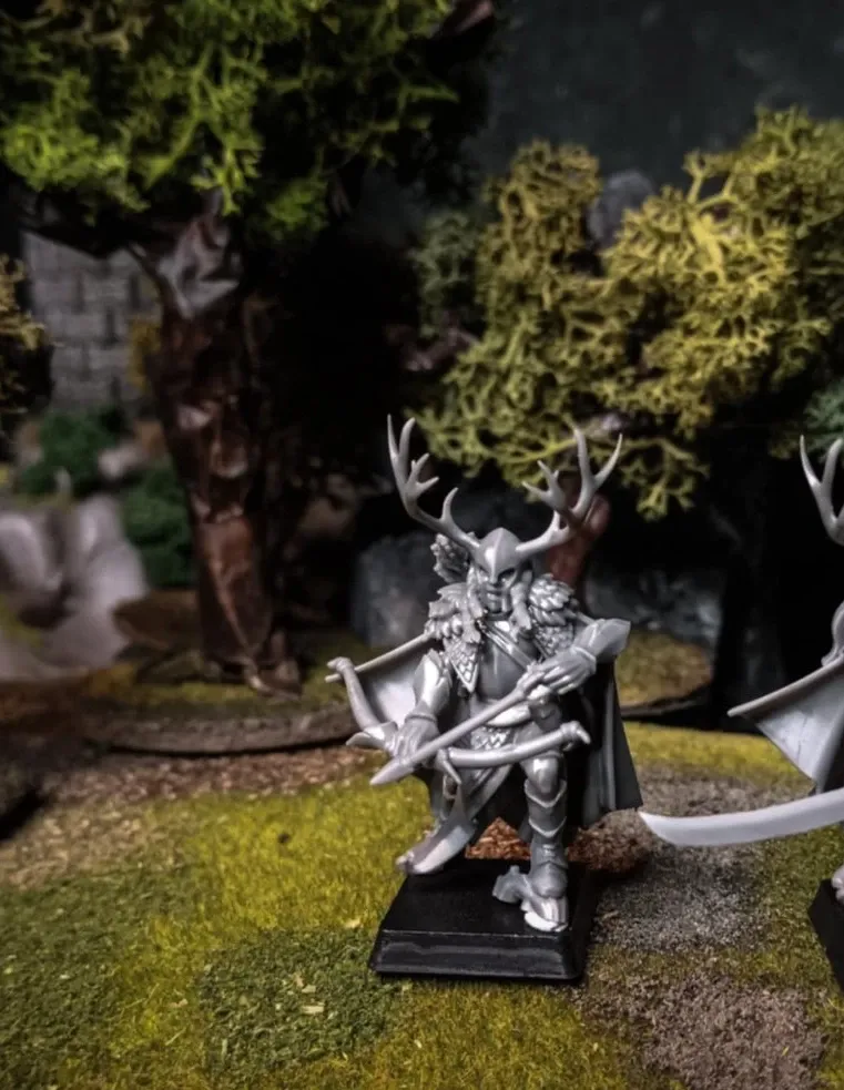 Feral Elves - Elf Highborn with Bow