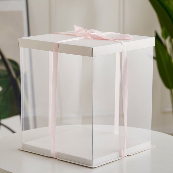 Cajas Transparentes