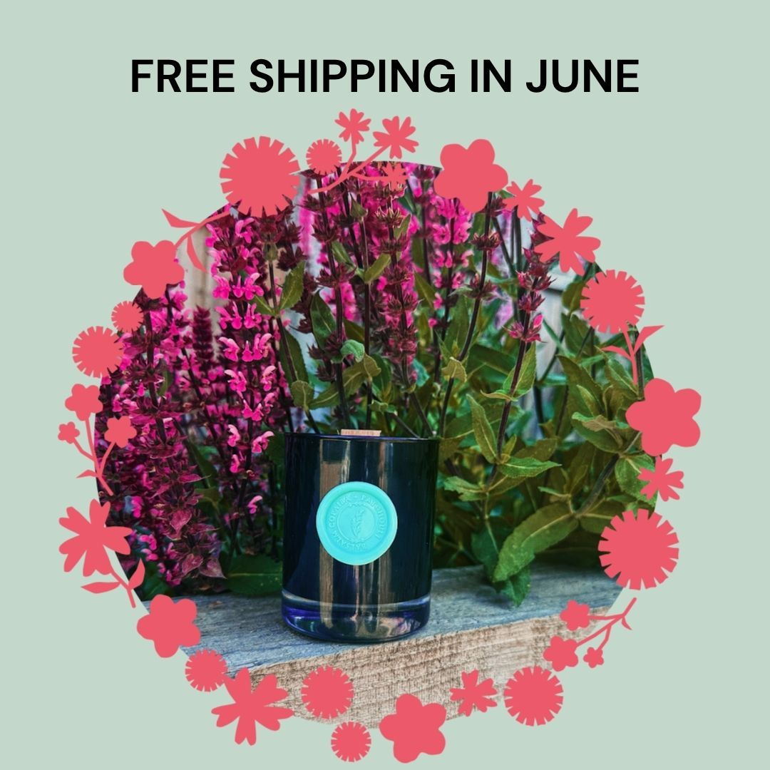 Clear Space Energy Cleansing Candle – Balsam Copaiba &amp; Patchouli
