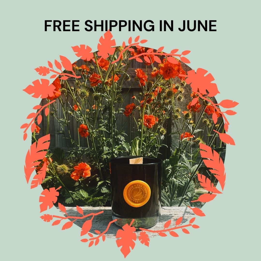 Clear Space Energy Cleansing Candle – Frankincense &amp; Tea Tree