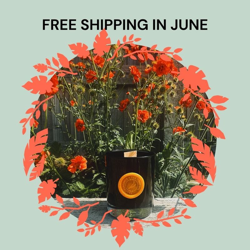 Clear Space Energy Cleansing Candle – Frankincense &amp; Tea Tree