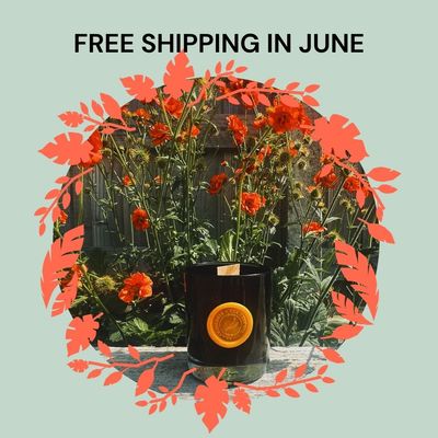 Clear Space Energy Cleansing Candle – Frankincense &amp; Tea Tree