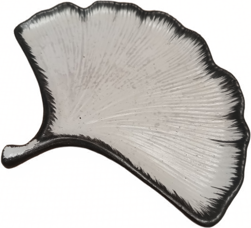 Miłorząb