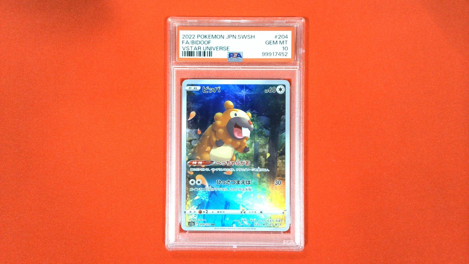 FA/Bidoof JPN #204 PSA 10 - 99917452
