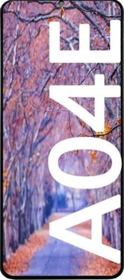 Display - Samsung A04 E
