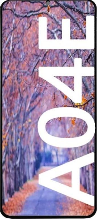 Display - Samsung A04 E