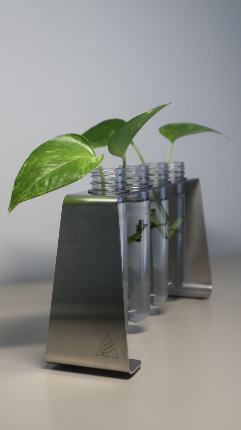 TABLE PLANTER