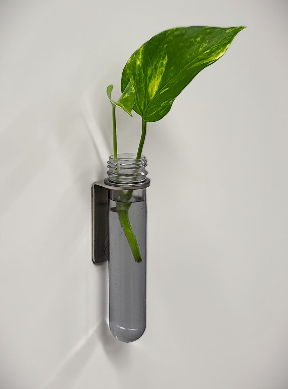 MAGNETIC PLANTER SET