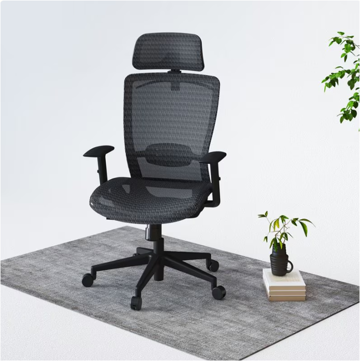Essential Mesh Office Chair OC3 | FlexiSpot