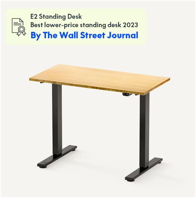 Flexspot E1 Office Desk - Black Stand