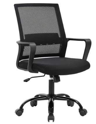 Ergonomic Office Chair, Lumbar Support, Swivel Rolling for Women, Men(Black)