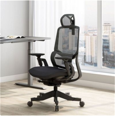 Soutien Ergonomic Office Chair - OC10