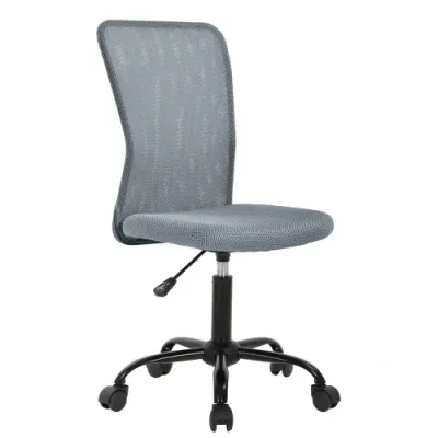 Mesh Office Chair Ergonomic Desk Chair Computer Adjustable Swivel Rolling Chair Lumbar Support for Women&amp;Men, Grey