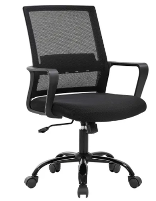 Ergonomic Office Chair, Lumbar Support, Swivel Rolling for Women, Men(Black)