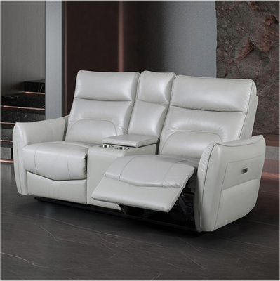 Terentius Power Recliner - Love Seat Terentius Power Recliner - Love Seat