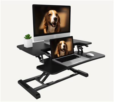 Flexispot 41 inch Computer Riser
