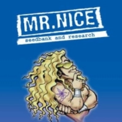 Mr. Nice Seeds