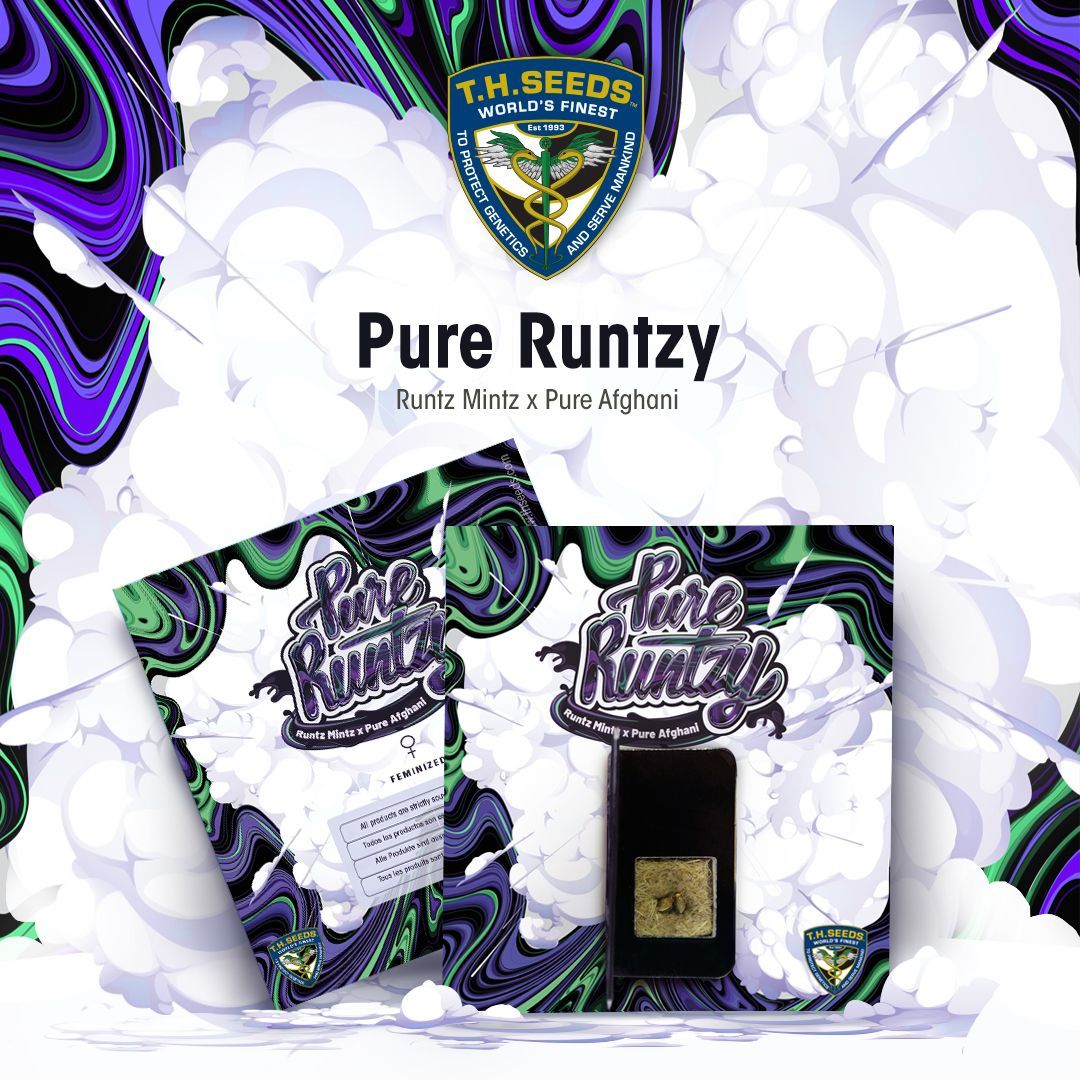 Pure Runtzy | fem. 2-Pack | T.H. SEEDS