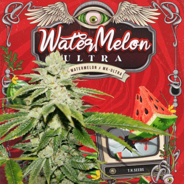WaterMelon Ultra | fem. 2-Pack | T.H. SEEDS