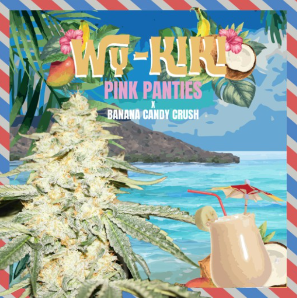 WY-KIKI | fem. 2-Pack | T.H. SEEDS