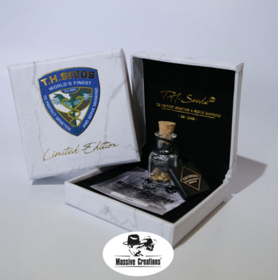 Zendu Kush | LIMITED EDT. | reg. 11-Pack | T.H. SEEDS Zendu Kush | LIMITED EDT. | reg. 11-Pack | T.H. SEEDS