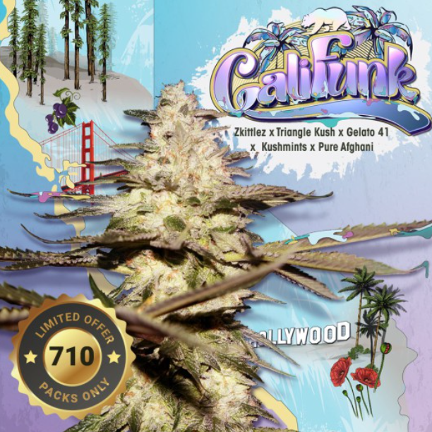 Califunk | fem. 2-Pack | 710 limited | T.H. SEEDS