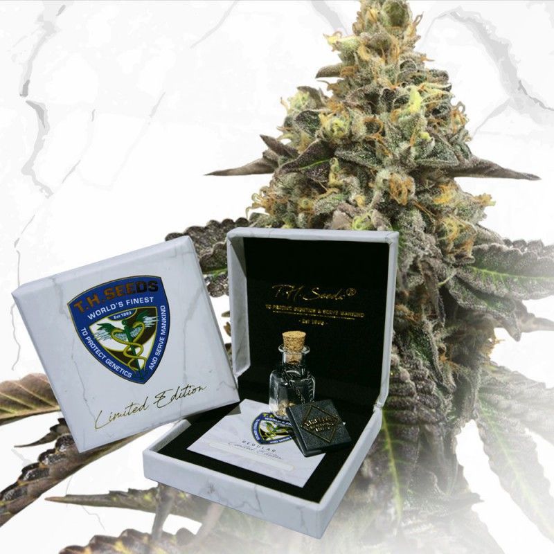 French Cookies x Birthday Cake | LIMITED EDT. | reg. 11-Pack | T.H. SEEDS