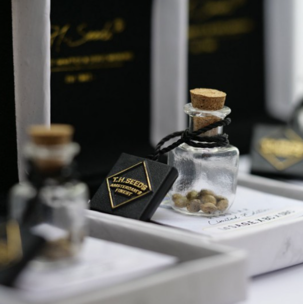 La S.A.G.E. Cake | LIMITED EDT. | reg. 11-Pack | T.H. SEEDS
