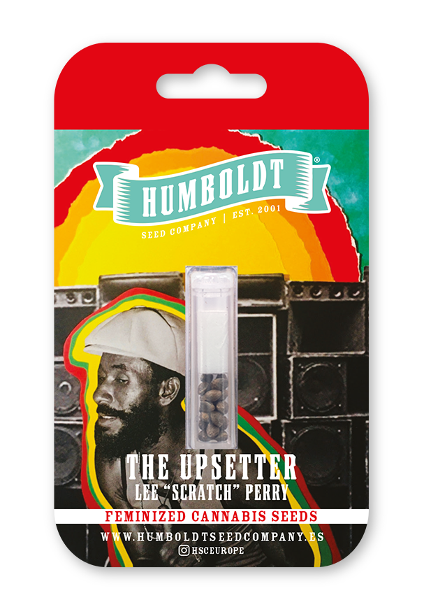 The Upsetter | fem. 3er Pack | HumboldtSC