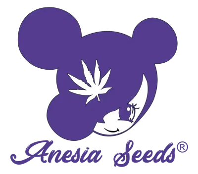 Anesia Seeds®