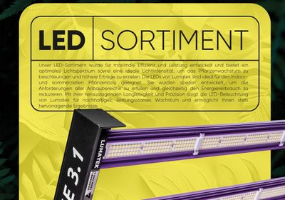 LED - BELEUCHTUNGSSORTIMENT
